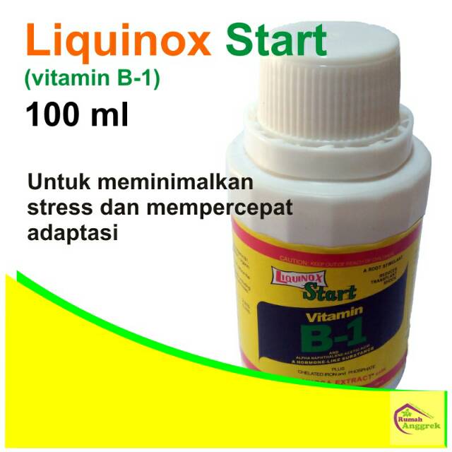 Liquinox Start Vitamin  B1 100 ml bibit benih bunga  anggrek  