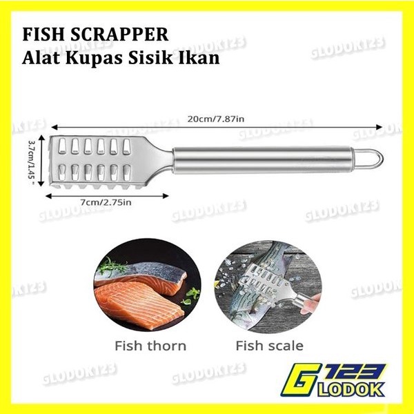 Alat Pembersih Pengupas Sisik Ikan Fish Scale Skin Remover Stainless