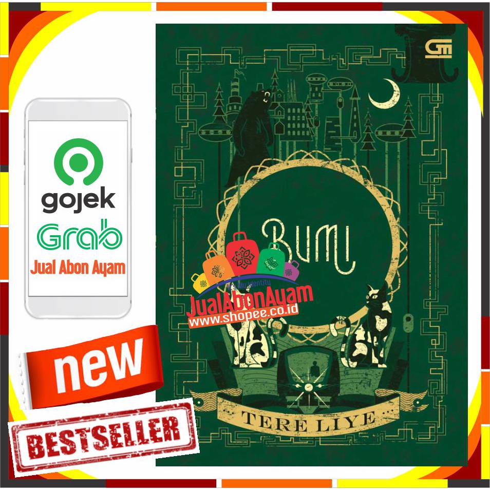 Novel Bumi Tere Liye