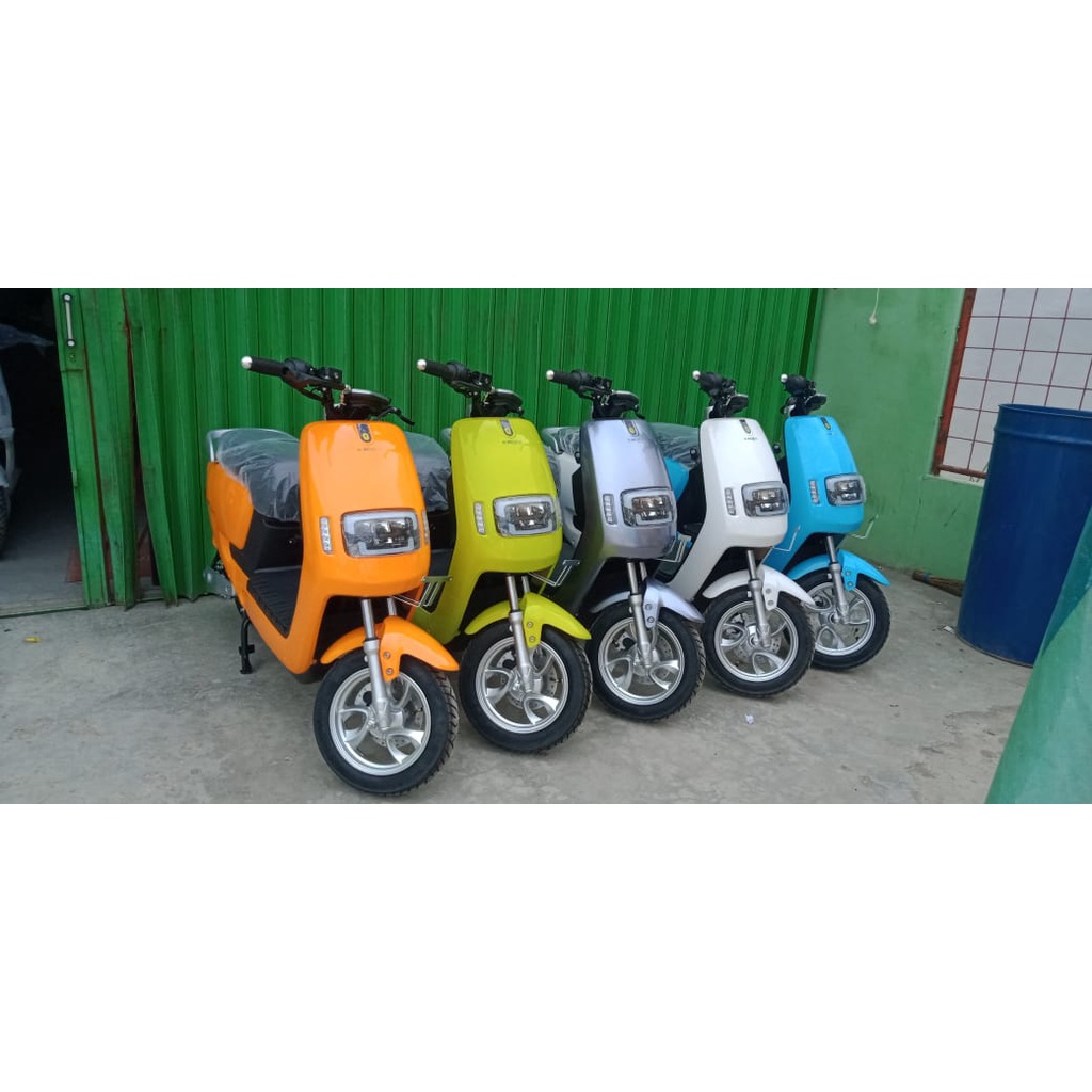 Sepeda Motor Listrik Ecgo Bike 2 VIN 2022 Off The Road / On The Road Garansi SNI-1