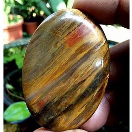 batu akik pancawarna Garut fosil kayu(0255)