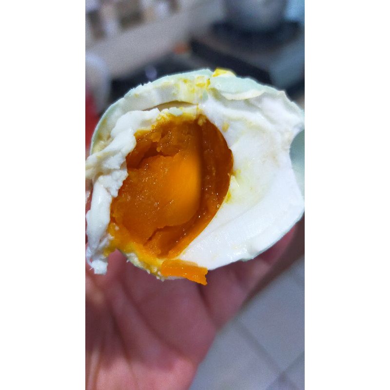 

TELUR ASIN BU UMI W