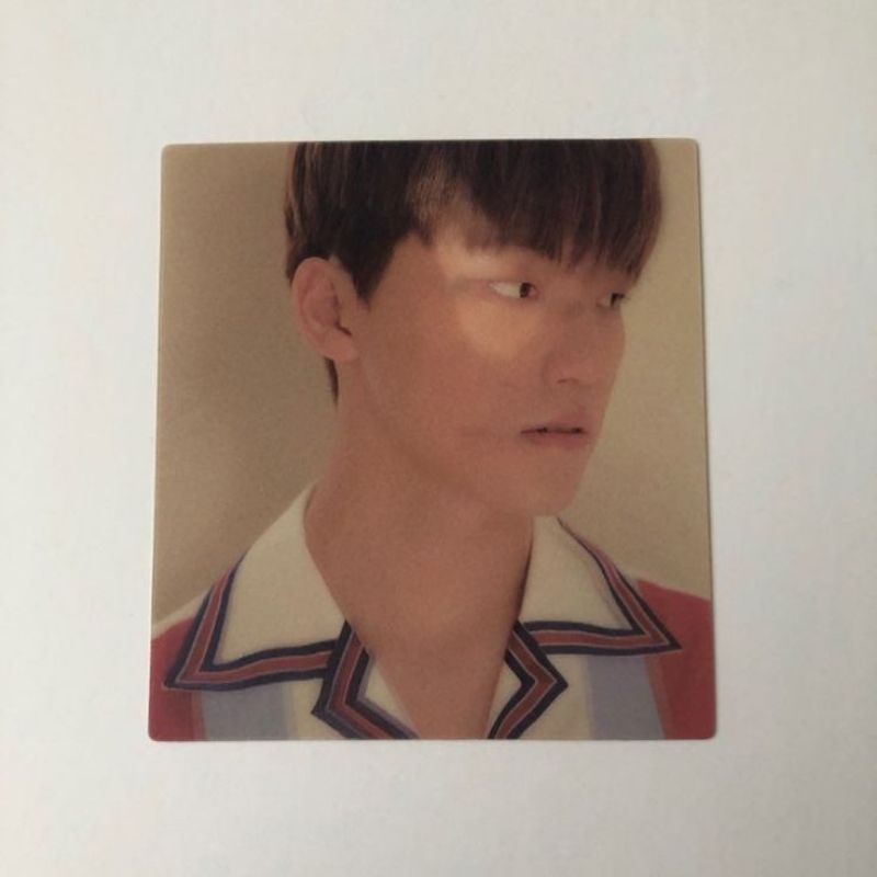 [OFC] Lenticular seventeen dino YMMD ( You Made My Dawn )
