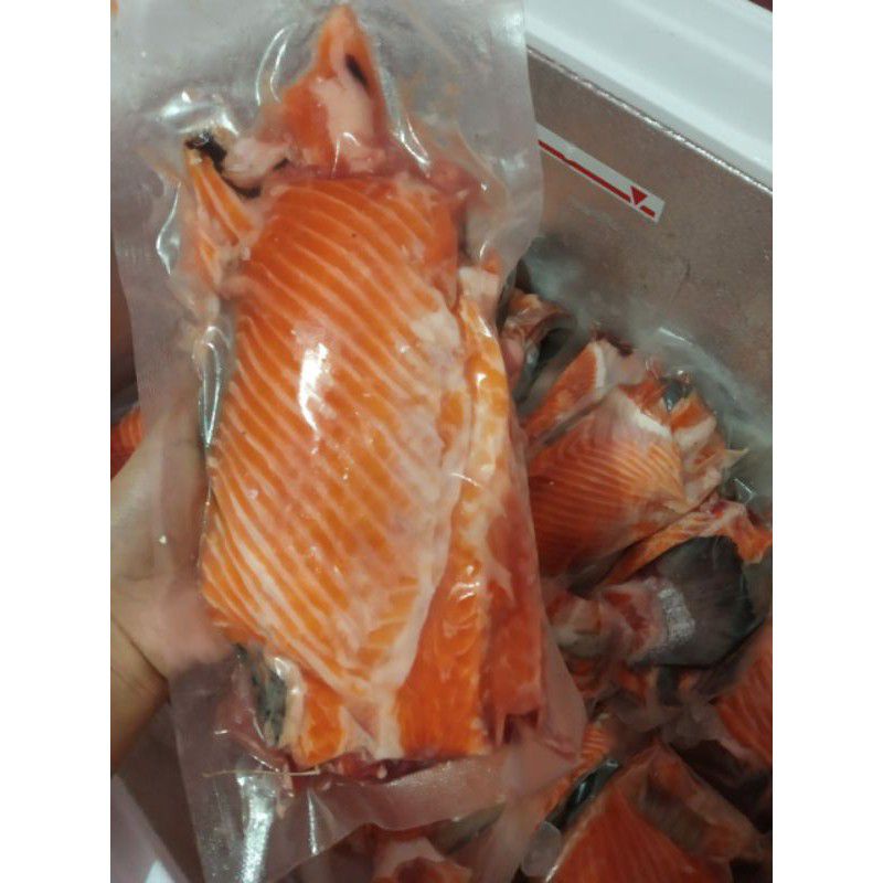 

Ikan salmon tetelan sisa daging