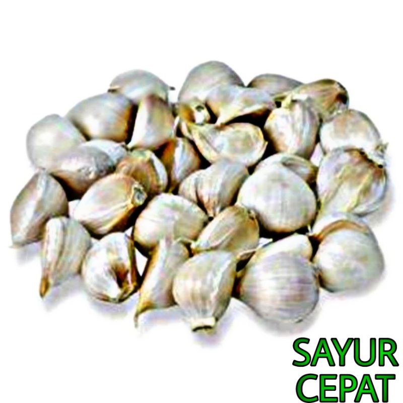 

Sayur Sayuran Segar Bawang Putih Kating Super Bersih 250gr