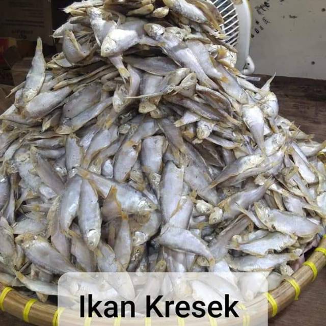 

Ikan Kresek