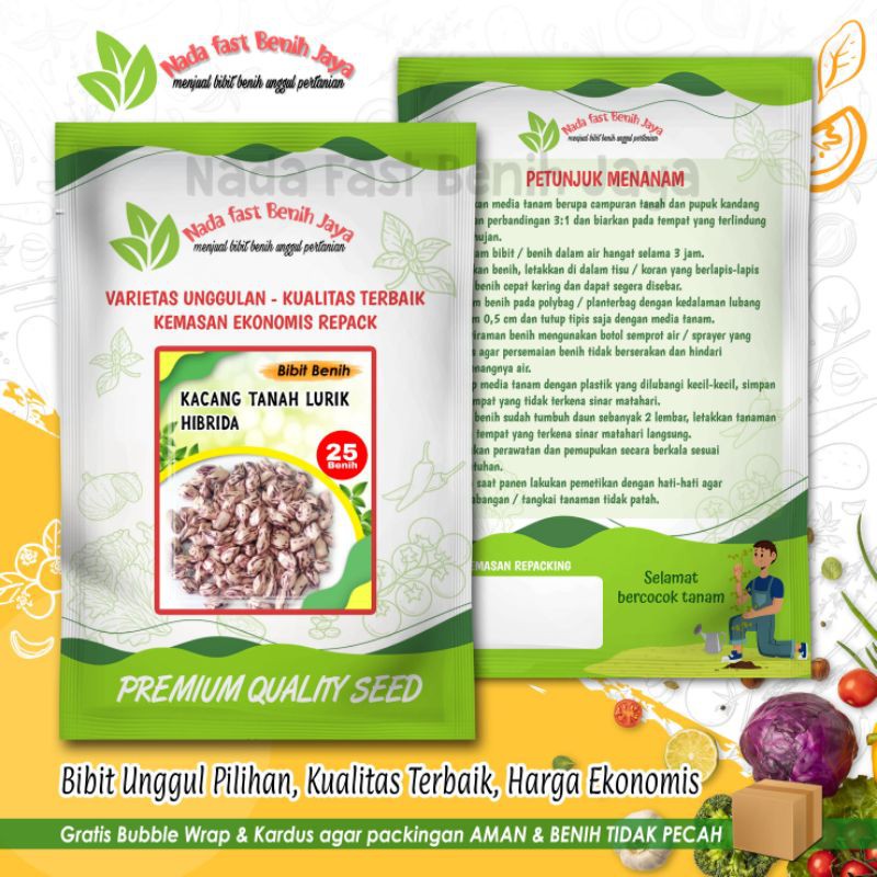 Jual 25 Biji Benih Kacang Tanah Lurik Super - Bibit Kacang Tanah Zebra ...