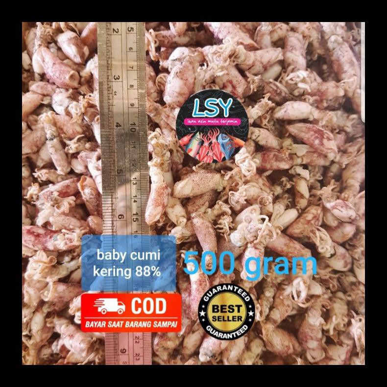 

BARU! IKAN ASIN BABY CUMI / CUMI REBUS 88 500GR TERMURAH