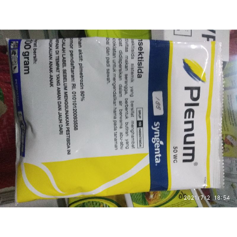 plenum