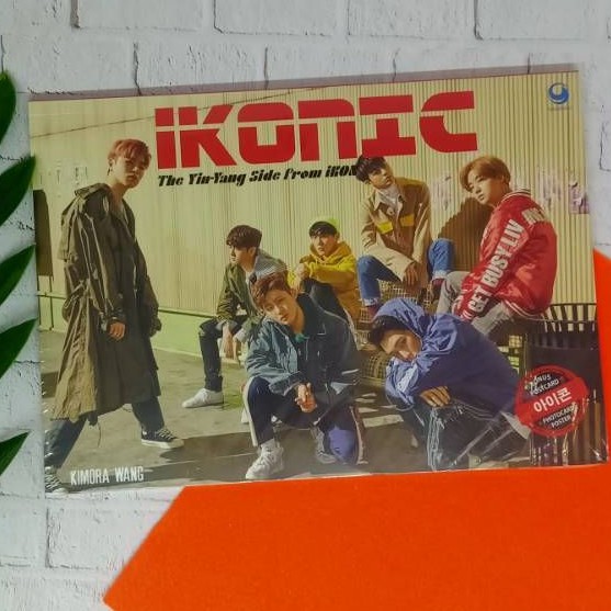 Buku Ikonic - The Yin-Yang Side From Ikon