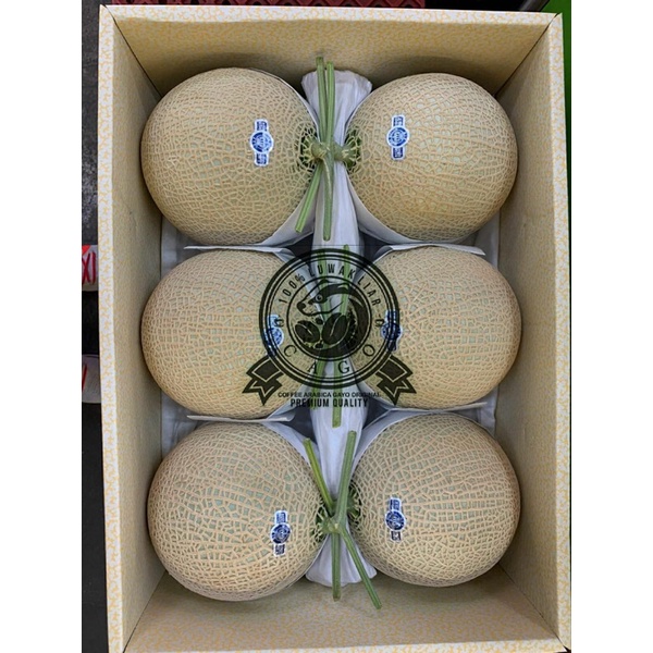 

Melon Shizuoka Musk Crown AAA Japanese Per Pcs Fresh Import