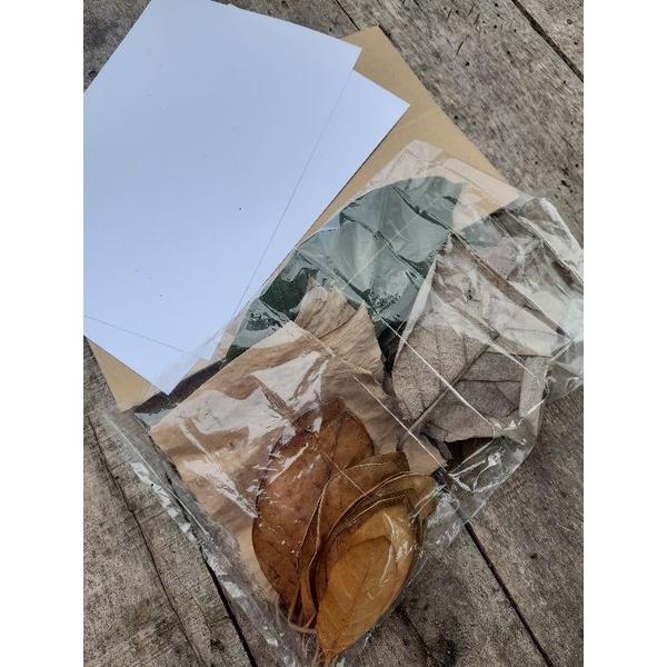 kolase daun kering (bahan) diy kolase