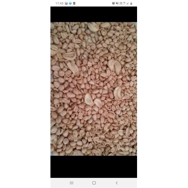 

Kacang Goreng