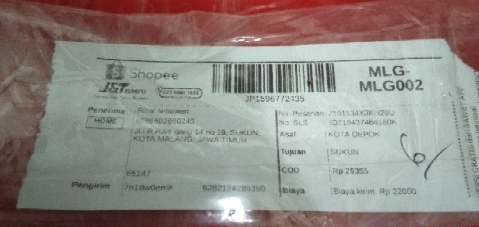 Glowlight Tetra Neon Api