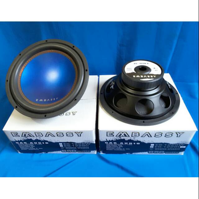 Speker Subwoofer EMBASSY ES-1228C 850W