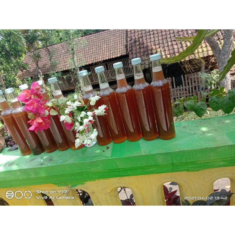 

Madu asli/madu murni/madu alas/madu tawon 800gr