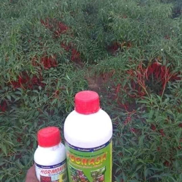 poc dan hormonik Nasa