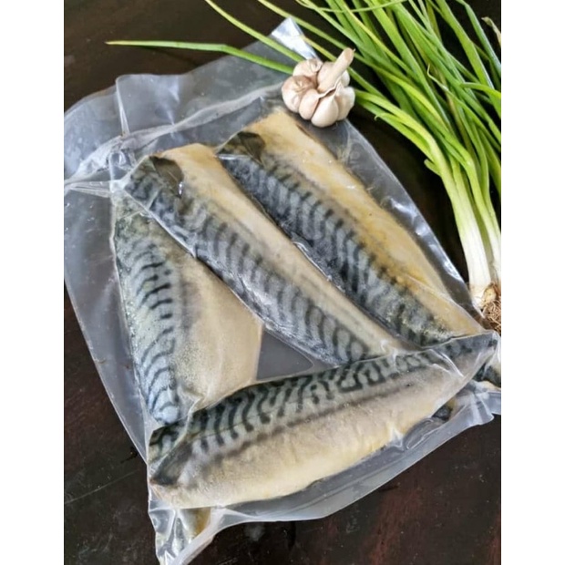 

Fillet makarel stock baru