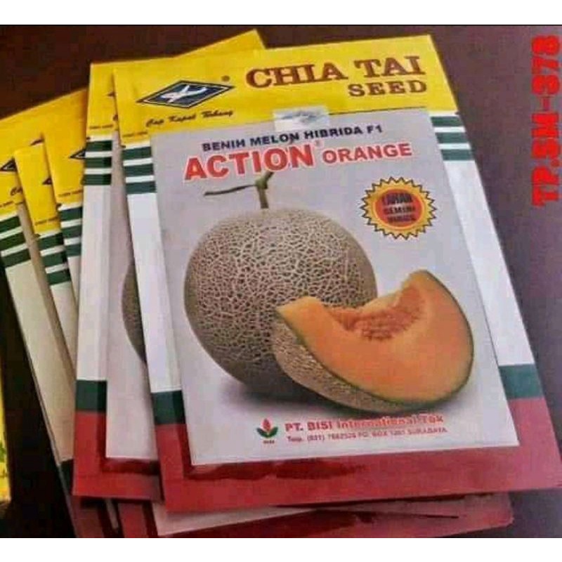 Benih MELON ACTION ORANGE F1