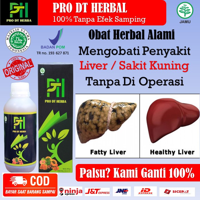 PRO DT HERBA Obat Liver Paling Ampuh, Obat Herbal Sakit Liver, Herbal Cina Atasi Liver, Atasi Sakit 