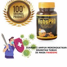 HAPSPRO Habatussaudah dan Propolis