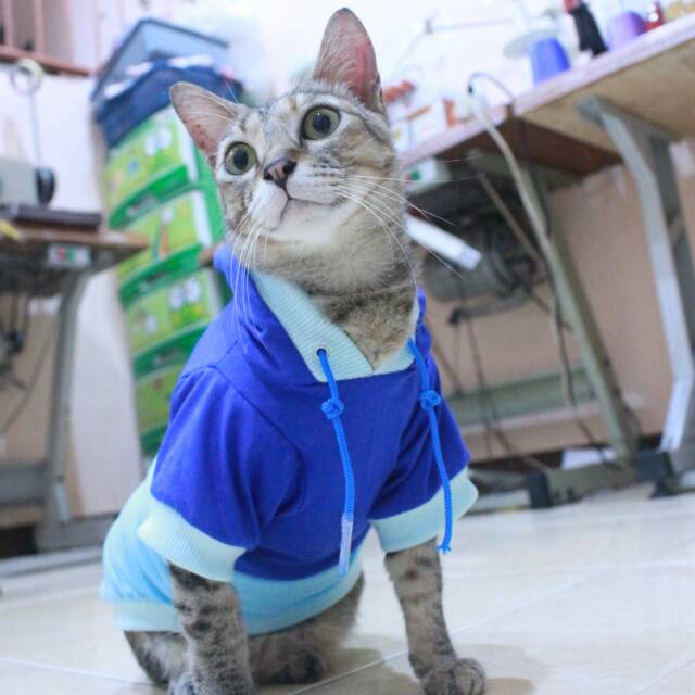 Kaos hoodie mixmax lucu untuk kucing dan anjing / baju kucing murah / baju size S M L XL