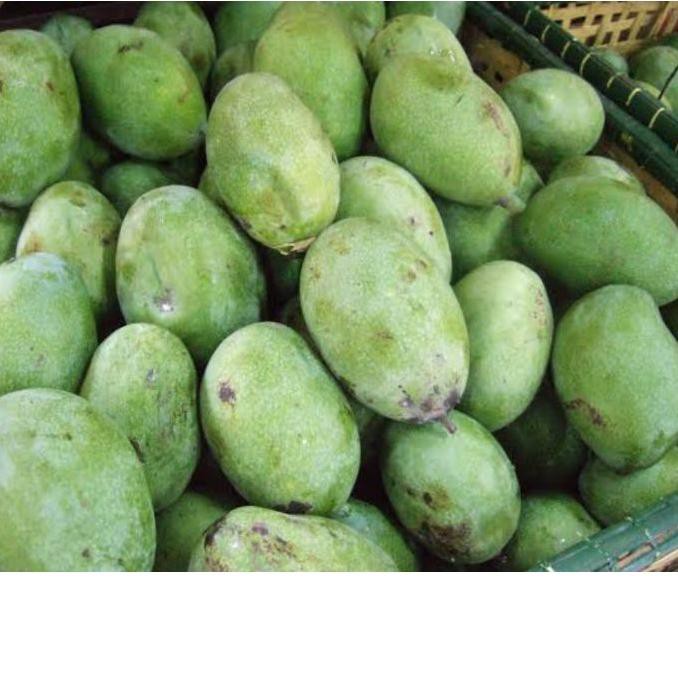 

>ods20!! Mangga Manalagi 1 kg Terlaris