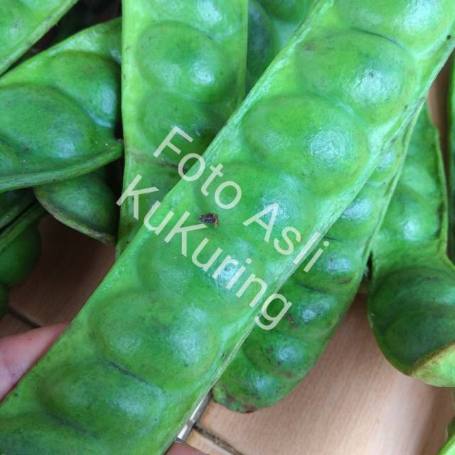 

Buah petai pete perlonjor papan