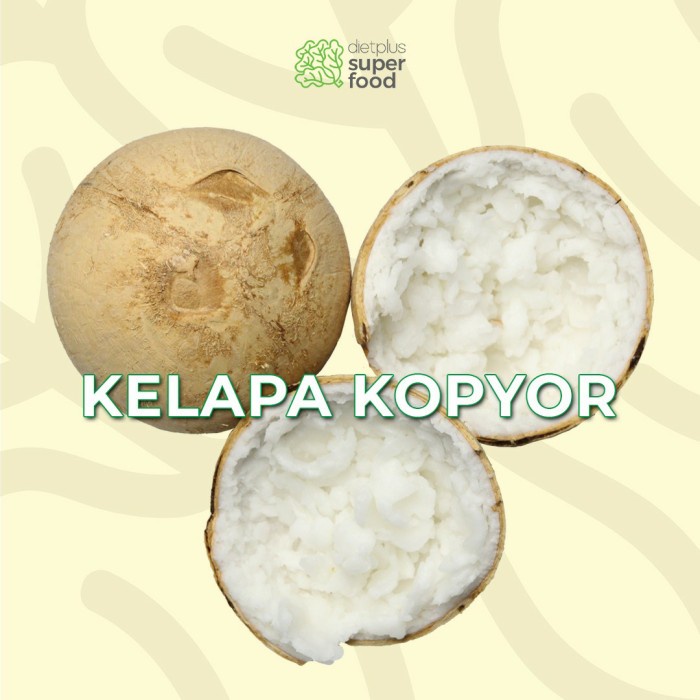 

Kelapa Kopyor 1 buah 600gr Dietplus Superfood