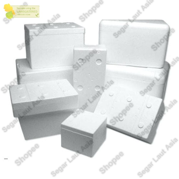 Box Ikan Styrofoam