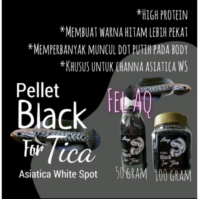 Pellet Channa Asagi Black For Tica Asiatica WS Pure Pelet Asagi Black Asiatika White Spot