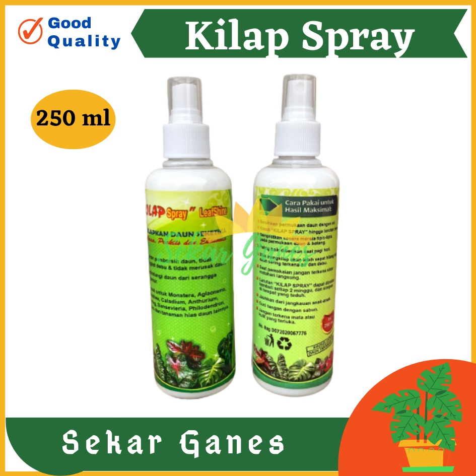 Kilap Spray leafshine 250 ml Pengkilap Daun Seketika Lebih Efisien Semir Pengkilap Daun - Kilap Daun SPRAY 250 ML Pengkilap Daun Seketika Lebih Efisien kilap daun spray 250 ml