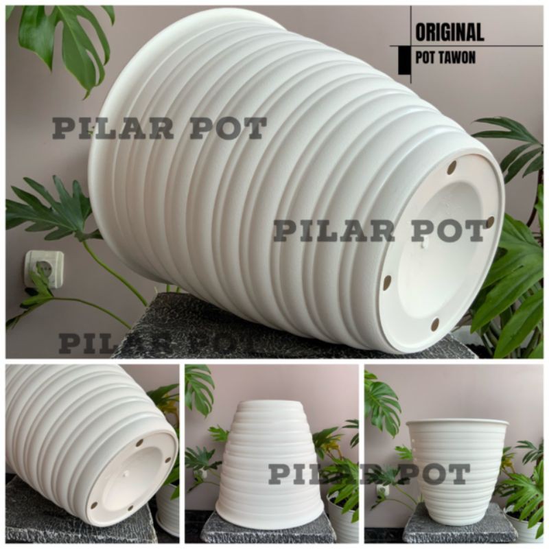 Pot bunga tanaman tawon putih tinggi(PIRUS) 30cm - tawon asli