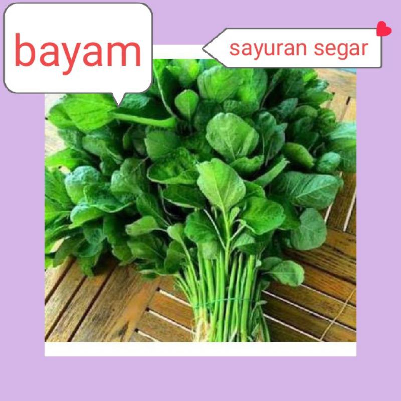 

BAYAM