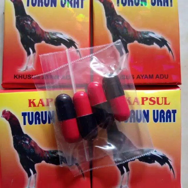 1 DUS capsul formula obat ayam turun urat 4 capsul pincang lumpuh tedun beri bengkak