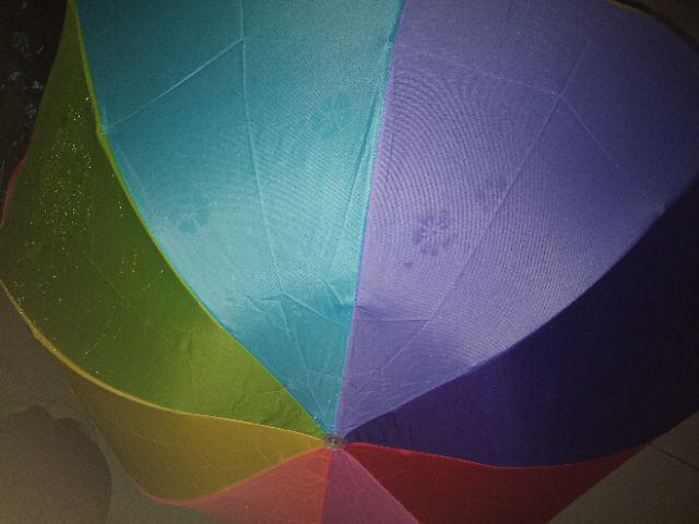 Payung Lipat Pelangi 3d Magic  Ajaib  Timbul Bunga Tiga Dimensi Timbul Motif