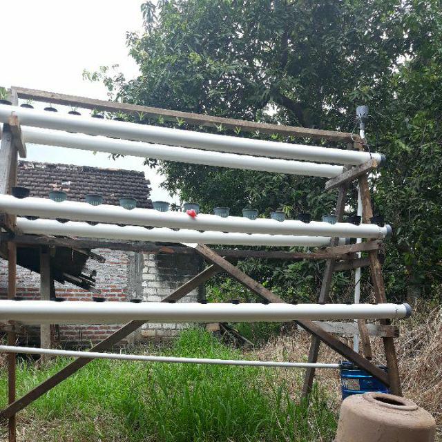 Alat Pembagi Air - Manifold Hidroponik 5 Mm