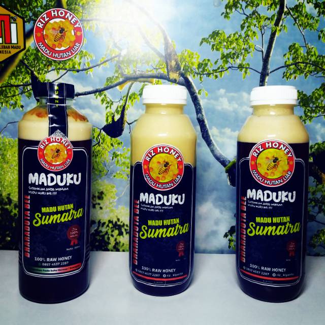 

MADU HUTAN MURNI