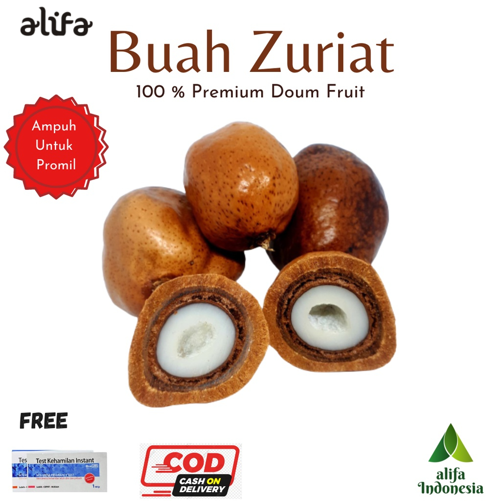

Buah Zuriat Promil 1 Kg Doum Mesir Free Test Pack Promil Sehat