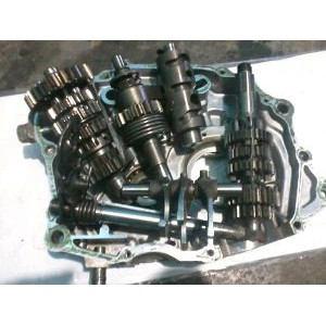 Rasio tiger revo set tanpa kalter Termurah