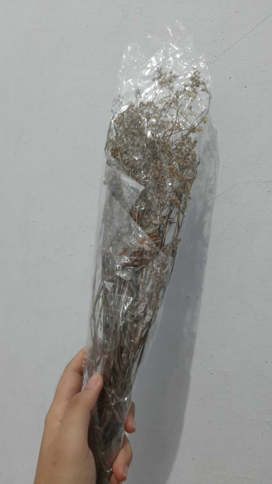 Aneka Bunga Kering/ Dried Flower/ Bunga Kering