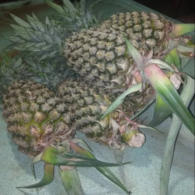 

Nanas medan manis