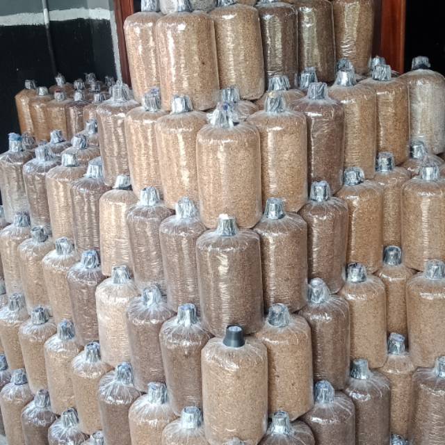 

Baglog jamur tiram