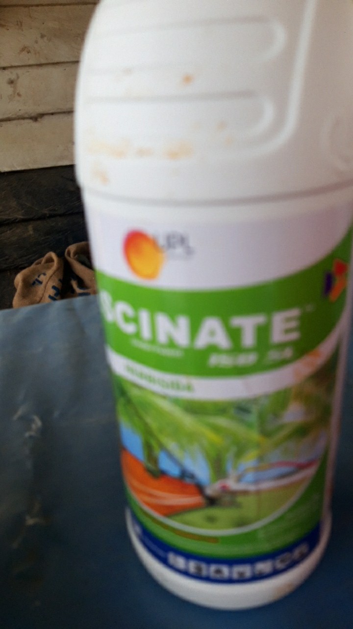 Herbisida Lulangan Grinting Fascinate 150sl 1liter