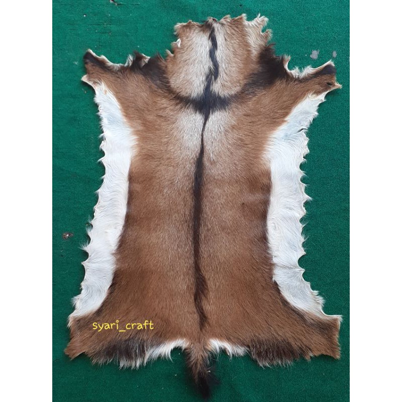 KULIT KAMBING LEMBARAN