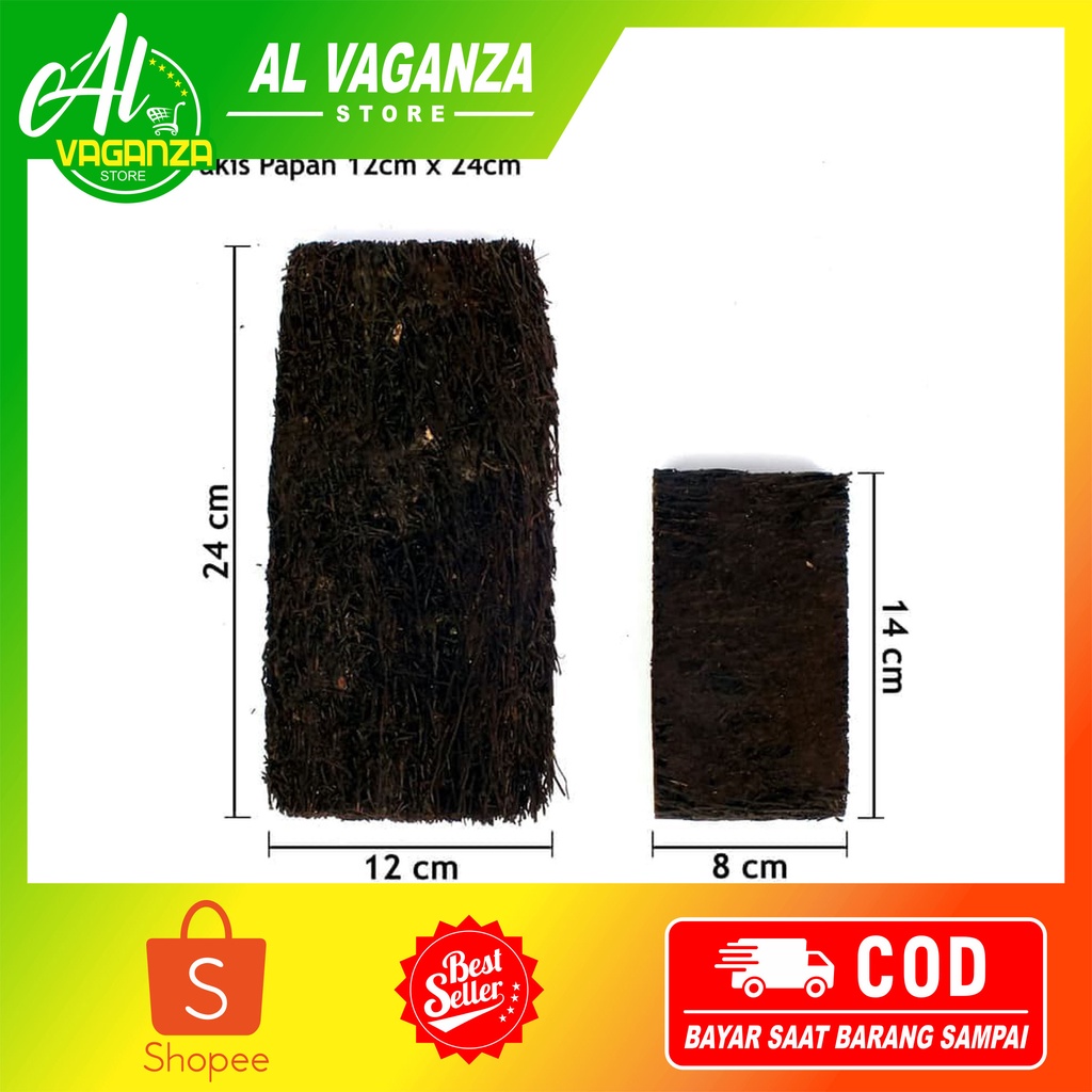 Pakis Papan Media Tanam Anggrek Besar 12 Cm X 24 Cm