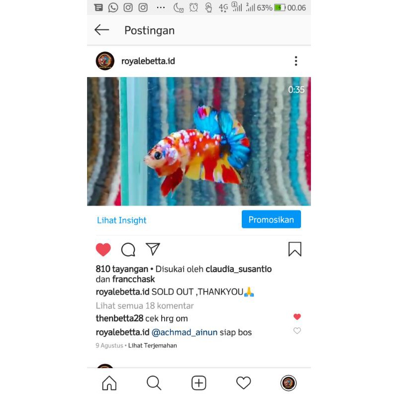 

Multicolour fish