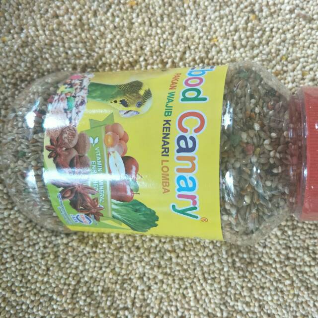 Ebod canary botol /kenari campur /ebod kenari