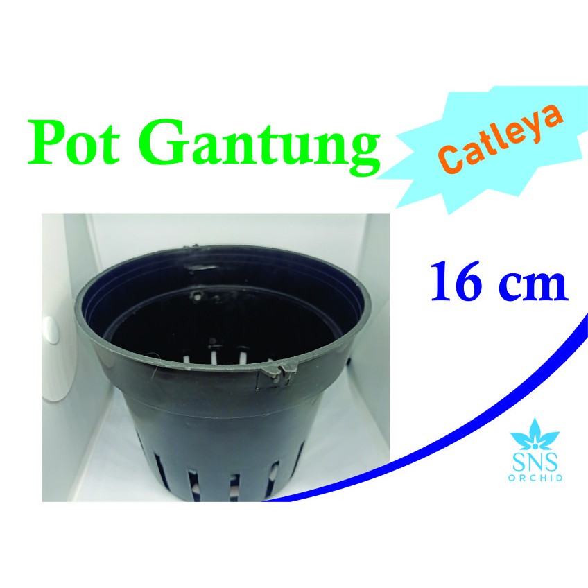 Pot Gantung 16 cm Bunga Anggrek Catleya Dendro Bulan Vanda Cattleya Bulat Plastik Hitam Tanaman Hias