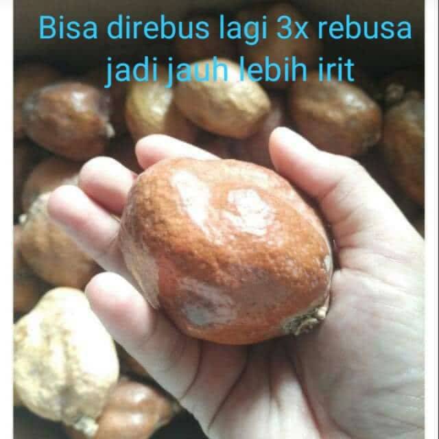 

Buah zuriat untuk promil